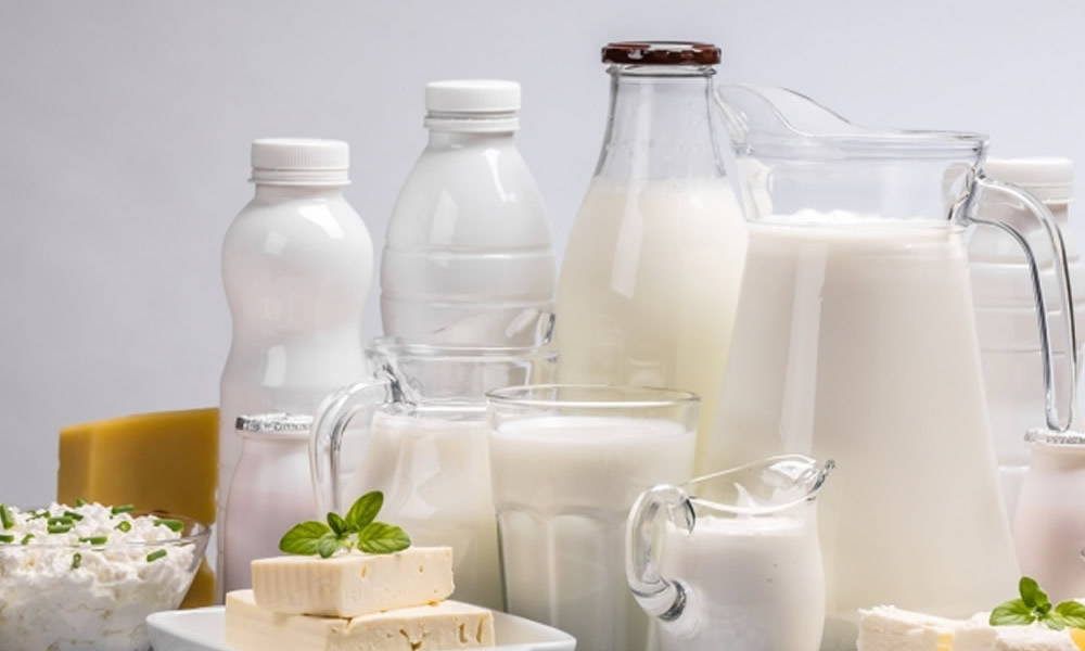 Local Dairy Market